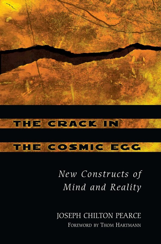 Front cover_The Crack in the Cosmic Egg