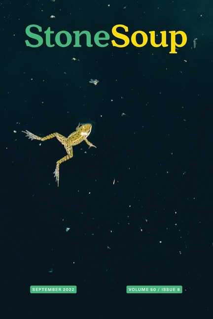 Front cover_Stone Soup Magazine