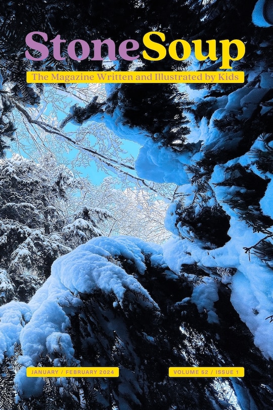 Couverture_Stone Soup