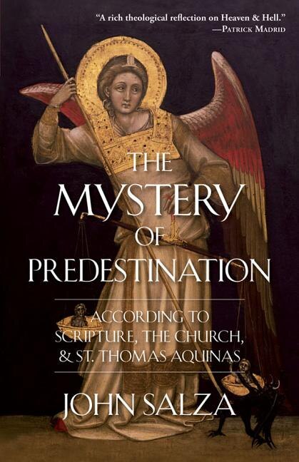 Couverture_The Mystery of Predestination