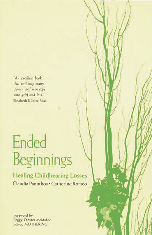 Front cover_Ended Beginnings
