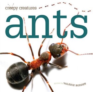 Front cover_Creepy Creatures: Ants