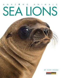 Front cover_Amazing Animals: Sea Lions