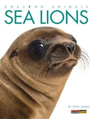 Front cover_Amazing Animals: Sea Lions