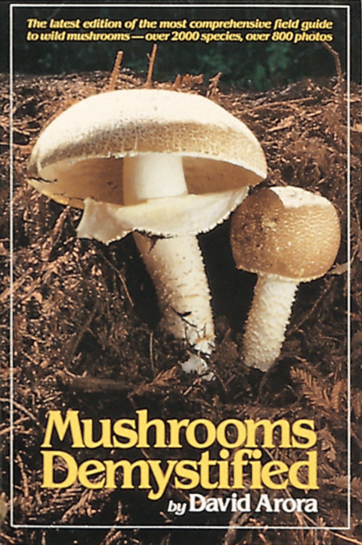 Mushrooms Demystified Book By David Arora, ('tp') | Indigo