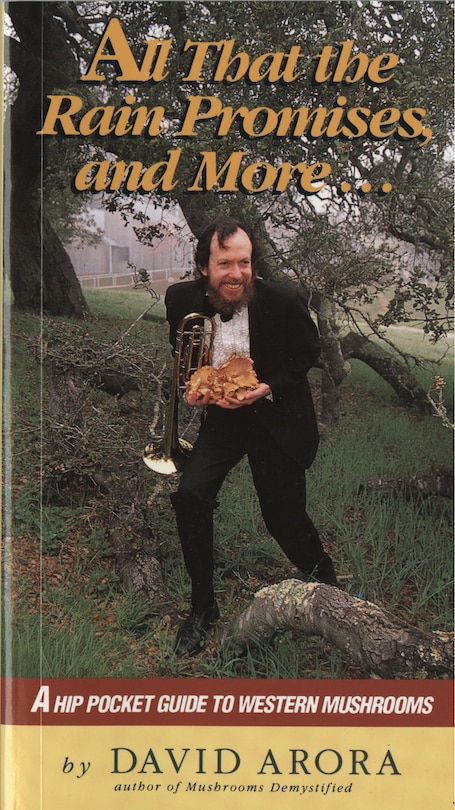 Front cover_All That The Rain Promises And More