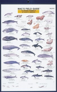 Couverture_Mac's Field Guides: North American Marine Mammals
