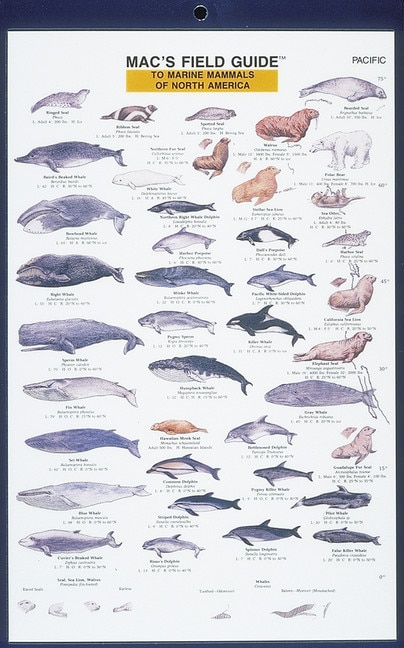Couverture_Mac's Field Guides: North American Marine Mammals