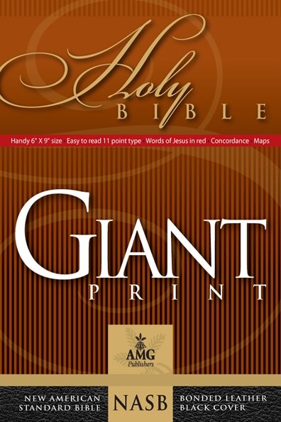 Front cover_Giant Print Handy-size Reference Bible