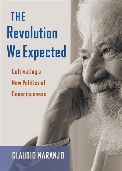 Couverture_The Revolution We Expected