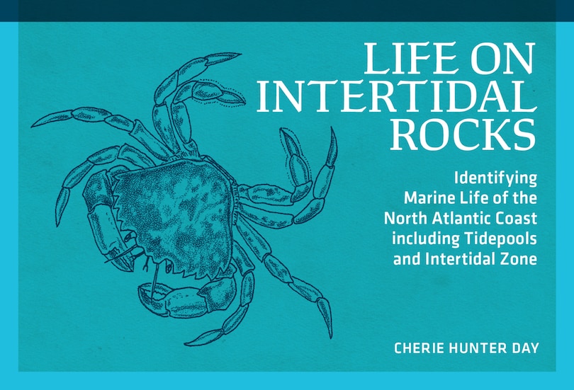 Front cover_Life on Intertidal Rocks