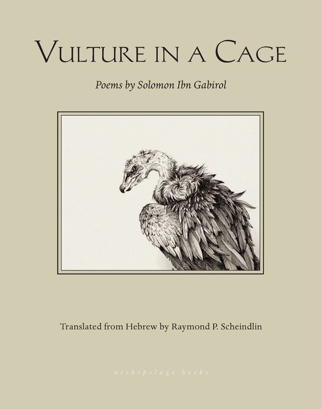 Front cover_Vulture In A Cage