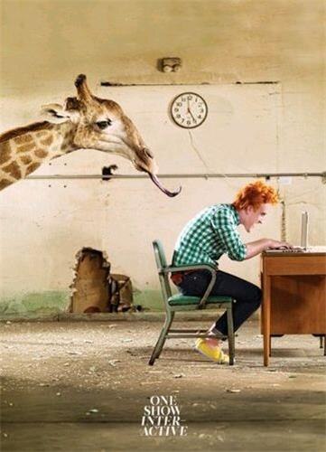 Couverture_One Show Interactive, Volume 15