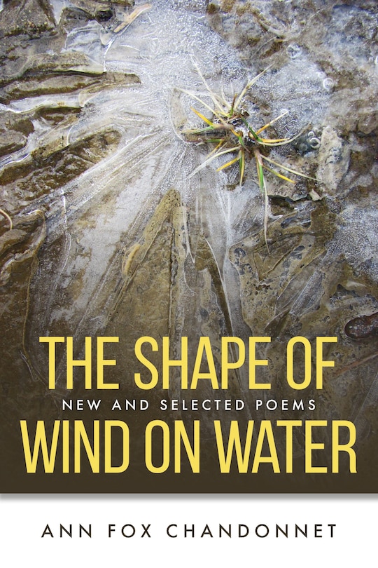 Couverture_The Shape of Wind on Water