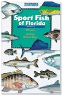 Sport Fish Of Florida