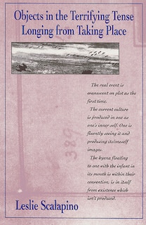 Front cover_Objects in a Terrifying Tense / Longing from Taking Place