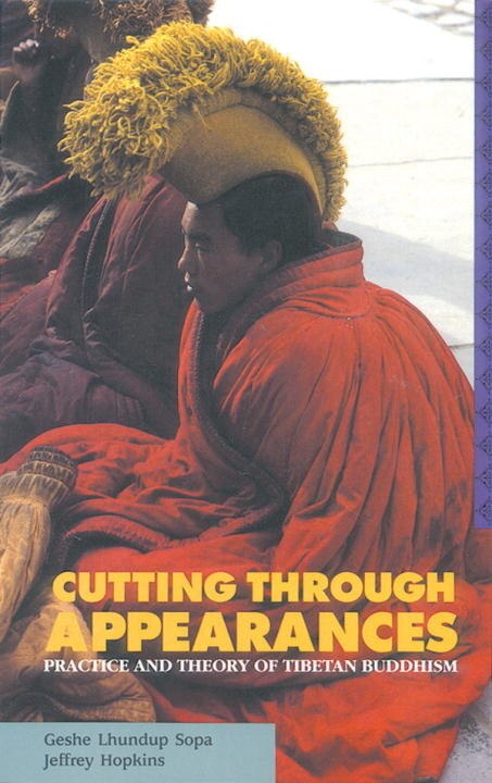Front cover_Cutting Through Appearances