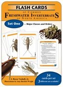 Flash Cards of Common Freshwater Invertebrates of North America Set One - Major Classes and Orders