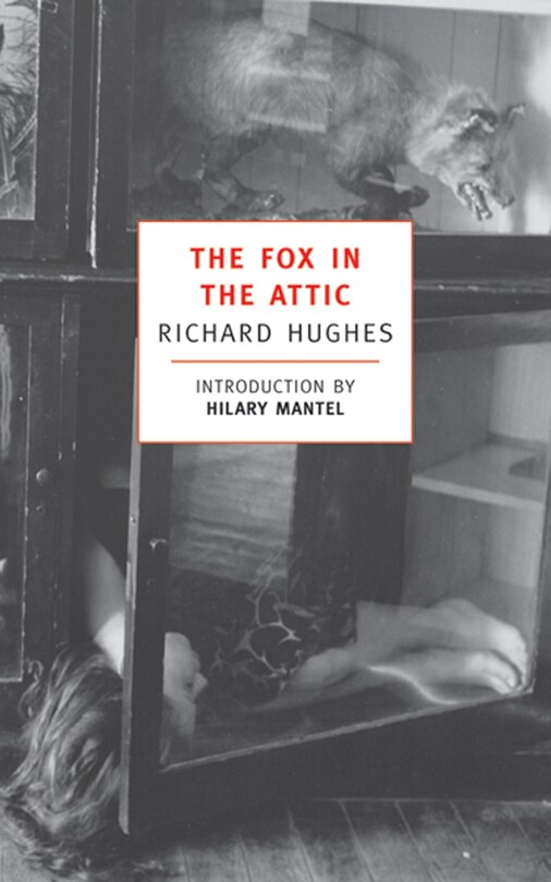 Front cover_The Fox in the Attic