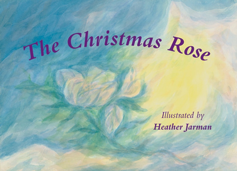 The Christmas Rose