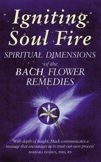 Couverture_Igniting Soul Fire