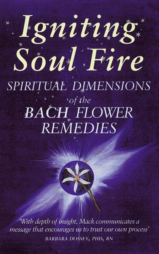 Couverture_Igniting Soul Fire