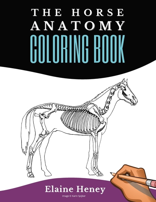 Front cover_Horse Anatomy Coloring Book For Adults - Self Assessment Equine Coloring Workbook