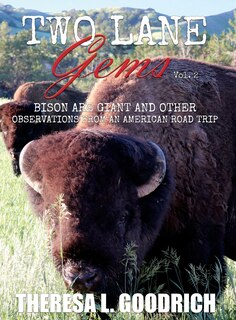 Front cover_Two Lane Gems, Vol. 2