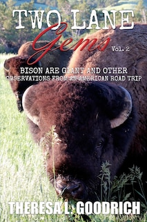 Front cover_Two Lane Gems, Vol. 2