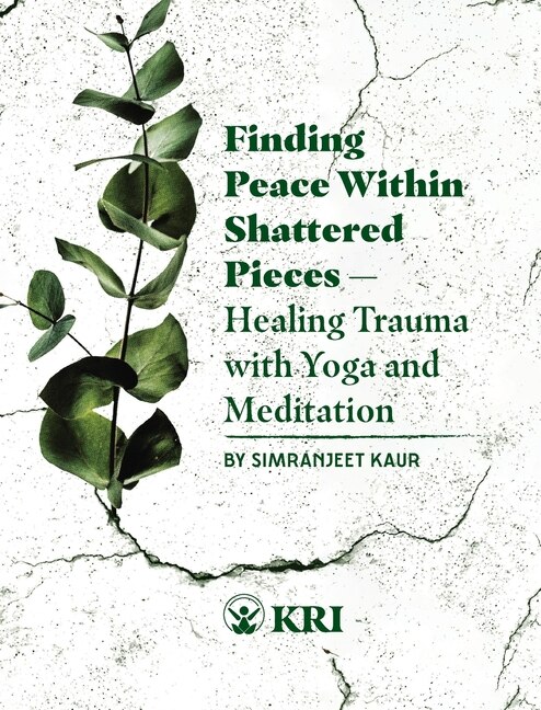 Couverture_Finding Peace Within Shattered Pieces