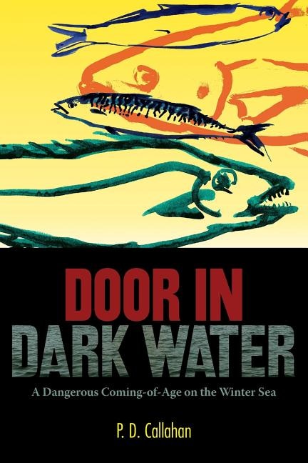 Front cover_Door In Dark Water