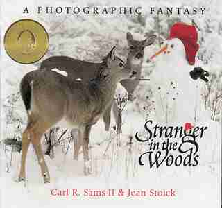 Stranger in the Woods