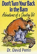 Couverture_Don't Turn Your Back In The Barn