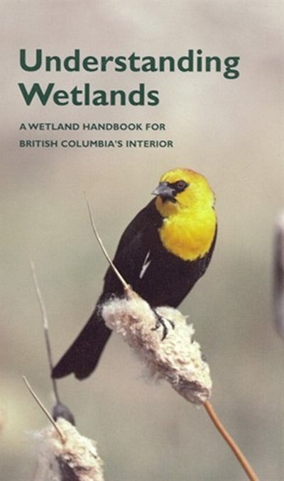 Couverture_Understanding Wetlands
