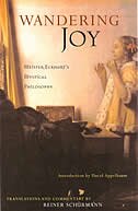 Front cover_Wandering Joy