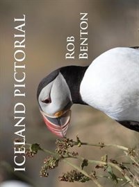 Couverture_Iceland Pictorial