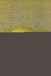 Front cover_House and Fire