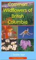 Couverture_COMMON WILDFLOWERS OF BRITISH COLUMBIA