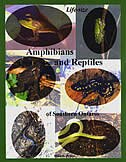 Front cover_Life Size Amphibians and Reptiles of Southern Ontario