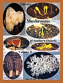Couverture_Life Size Mushrooms of Southern Ontario
