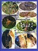 Front cover_Life Size Damselflies & Dragonflies Of Southern Ontario