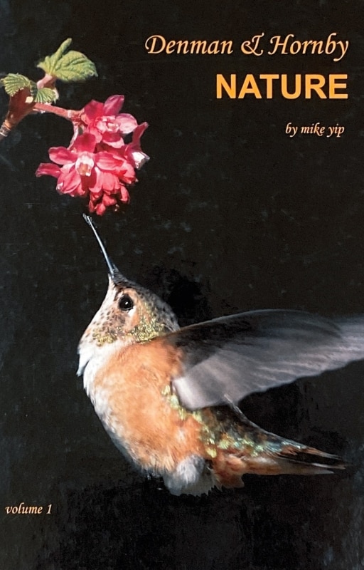 Front cover_Denman & Hornby Nature