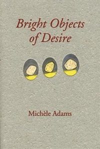 Couverture_Bright Object of Desire
