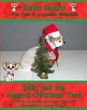 Front cover_Bella and the Magical Christmas Tree