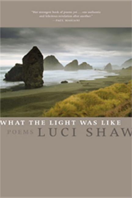 Front cover_What the Light Was Like