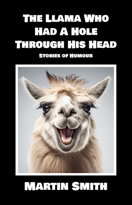 Couverture_The Llama Who Had A Hole Through His Head