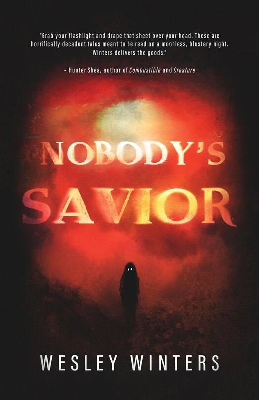 Front cover_Nobody's Savior