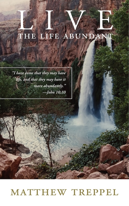 Front cover_Live the Life Abundant