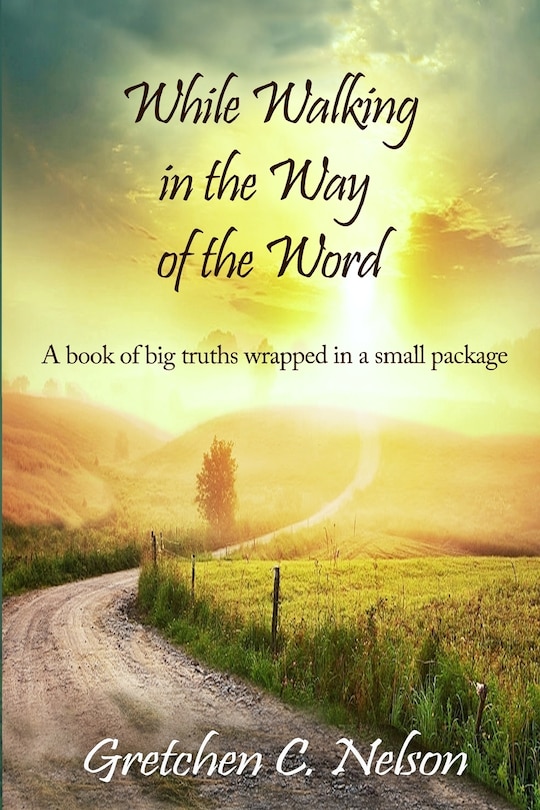 Front cover_While Walking in the Way of the Word