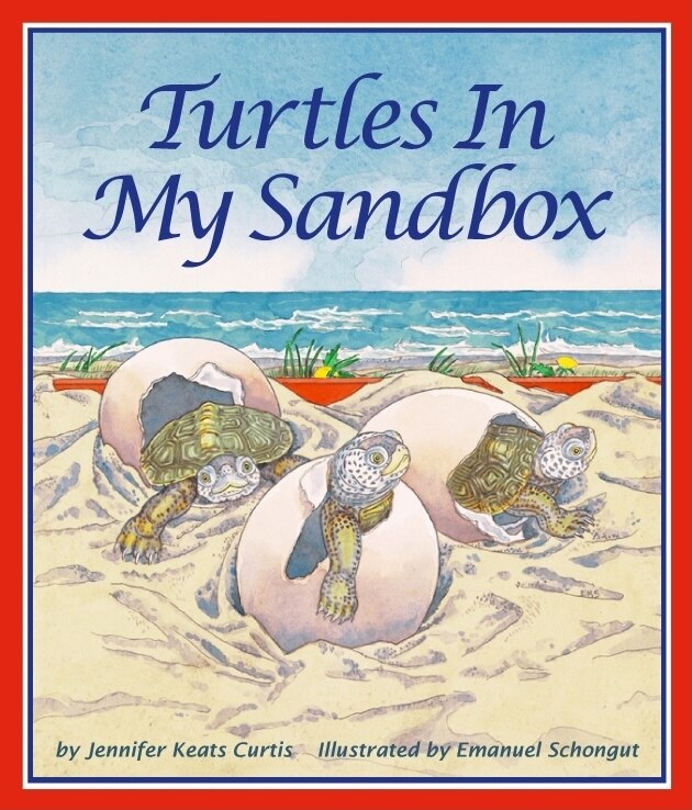 Front cover_Turtles In My Sandbox